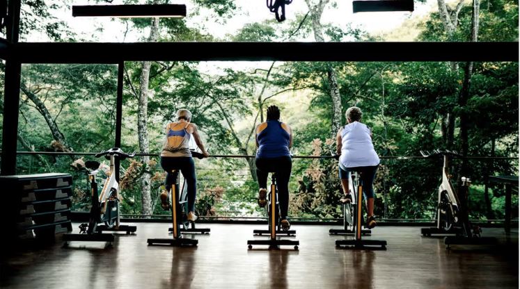 Cardiorespiratory fitness could protect cognitive health as we age