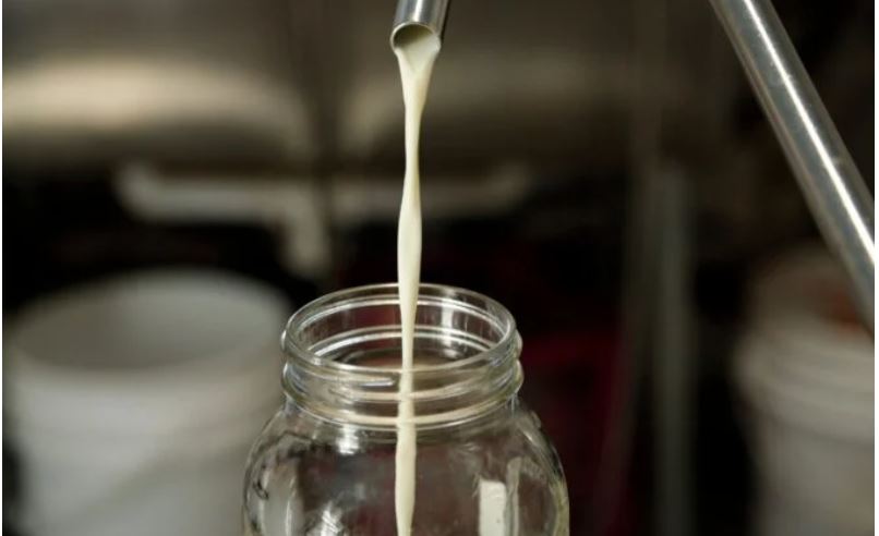 Infectious Bird Flu Can Linger in Refrigerated Raw Milk for 5 Days