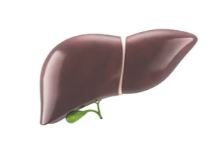 Teacher donates liver to save former student's life